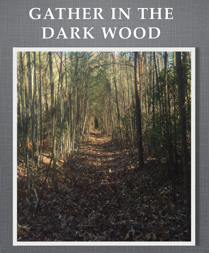 Gather in the Dark Wood - SEE PURCHASE OPTIONS